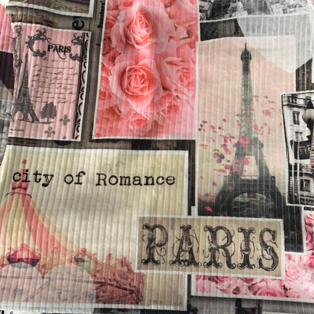 Cleo apparel pink Paris dress